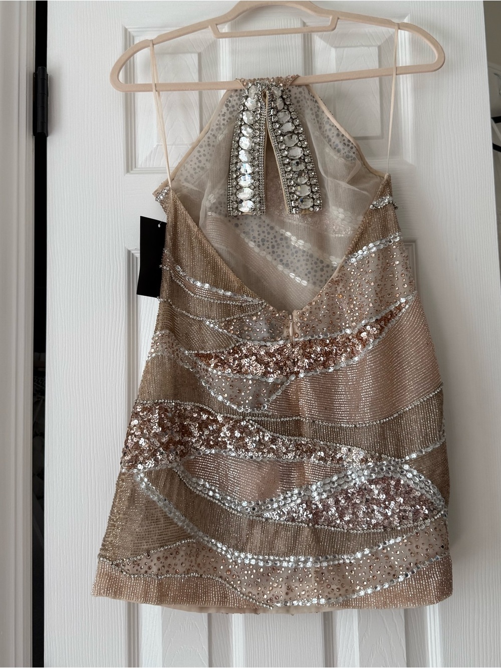 Retrofete Buffie Embroidered Sequin Champagne Silver Mini Dress NEW with tags - Picture 5 of 16